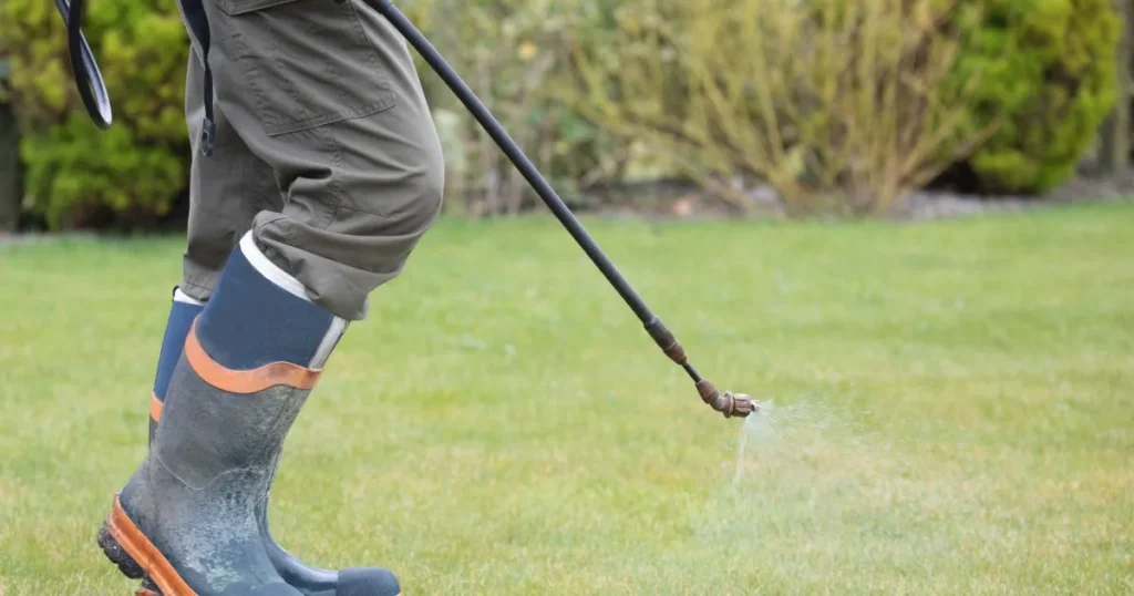Person spraying weed killer onto the grass