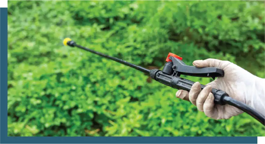Sprayer being used to treat plants in a garden setting.