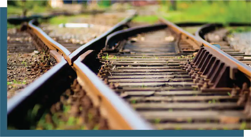 Railroad tracks with a fork in the path, surrounded by greenery and overgrown vegetation.